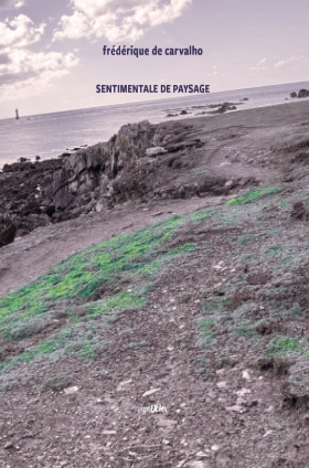 SENTIMENTALE DE PAYSAGE - propos2editions