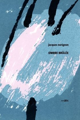 OMBRE BRÛLÉE - propos2editions