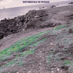 Sentimentale de paysage/Frédérique de Carvalho